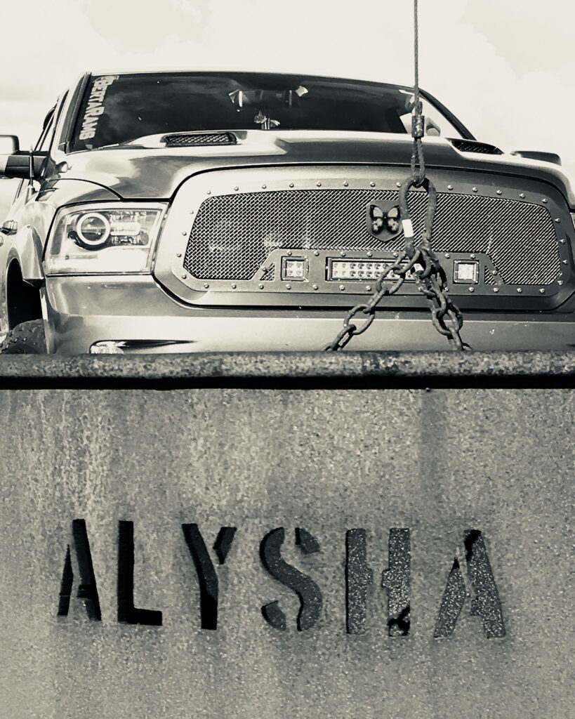 alyshatruckchain2000